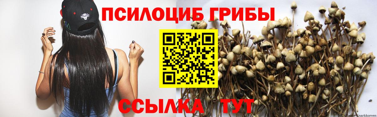 Усть-Лабинск  продажа наркотиков  Галлюциногенные грибы мицелий  Вход с VPN  Галлюциногенные грибы MAGIC MUSHROOMS 